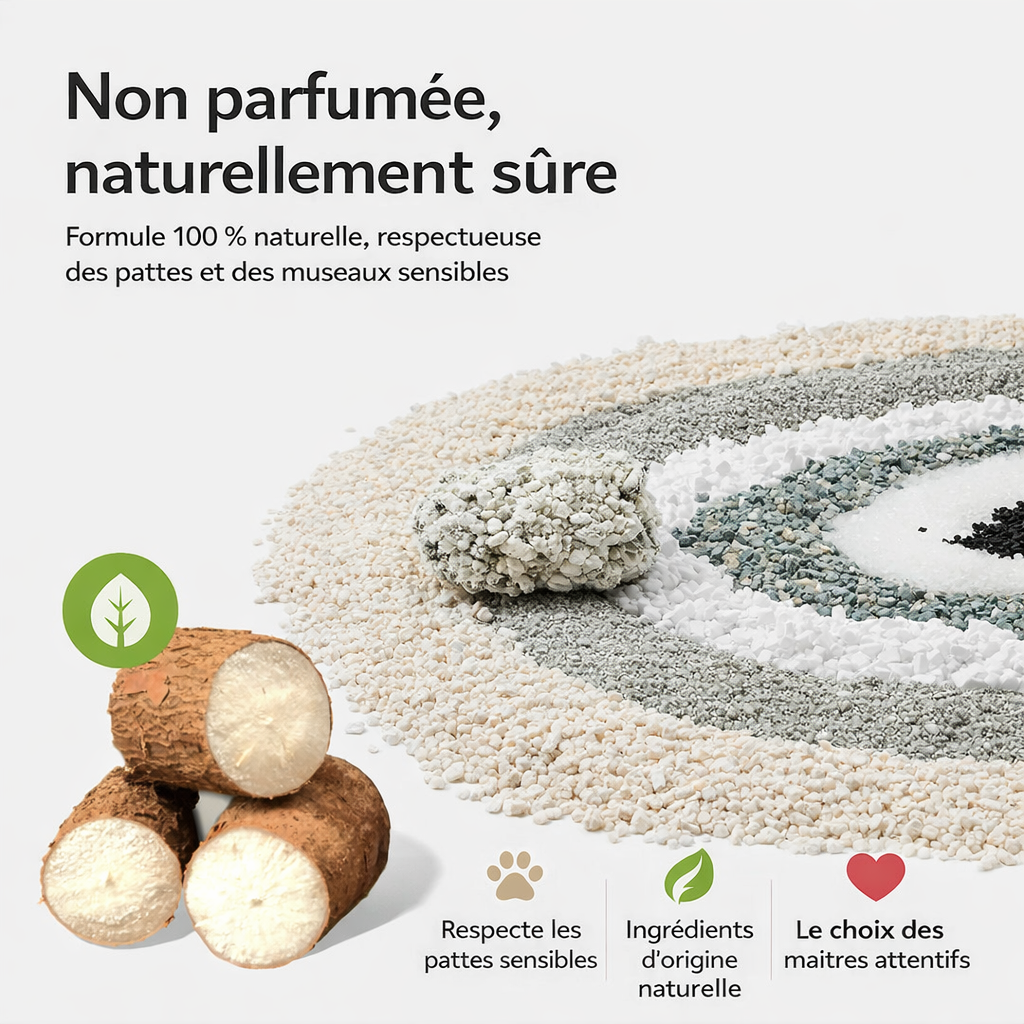 La Litière CATLIKE Pro – Haut de Gamme