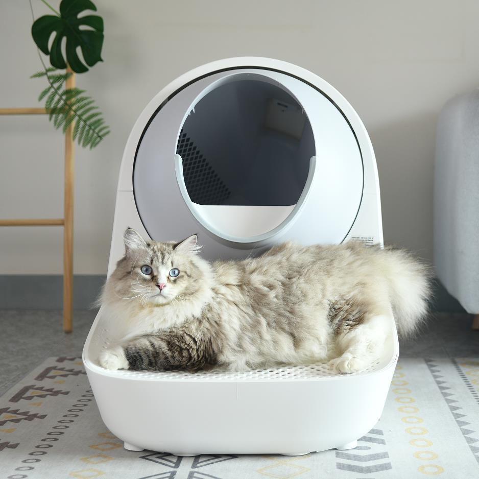 CATLIKE Escalier pour Bac à Litière pour Chat